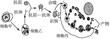 德优题库
