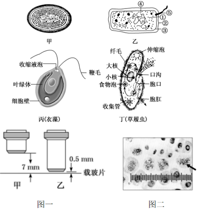 德优题库