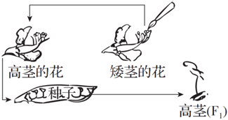 德优题库