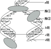 德优题库