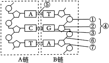 德优题库
