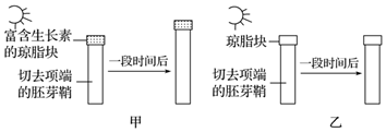德优题库
