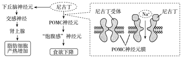 德优题库