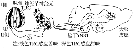 德优题库