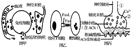 德优题库