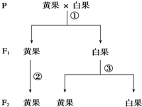 德优题库