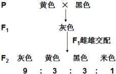 德优题库