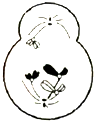 德优题库