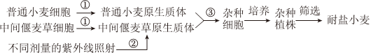 德优题库