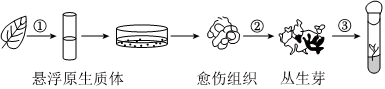 德优题库
