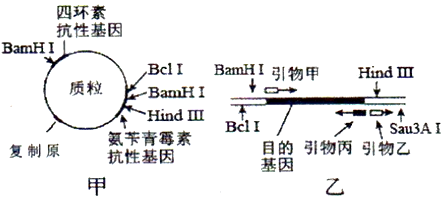 德优题库