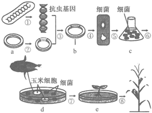 德优题库