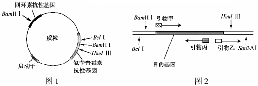 德优题库