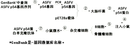 德优题库
