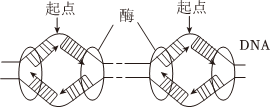 德优题库