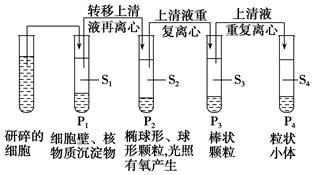 德优题库