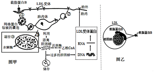 德优题库