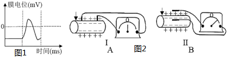 德优题库