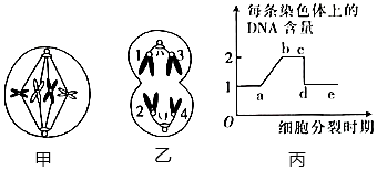 德优题库