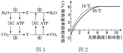 德优题库