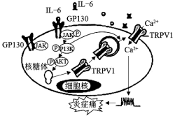德优题库