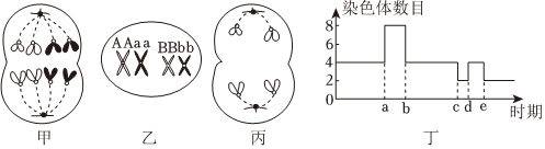德优题库