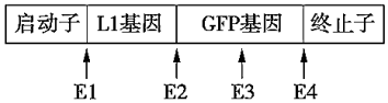 德优题库