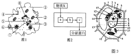 德优题库