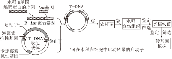 德优题库