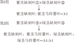 德优题库