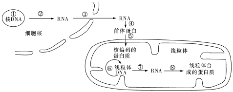 德优题库