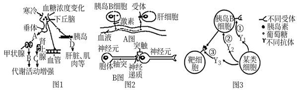 德优题库