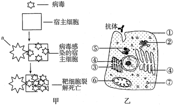 德优题库