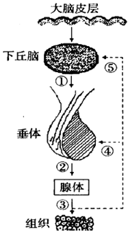 德优题库