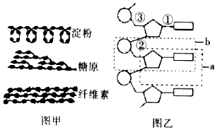 德优题库