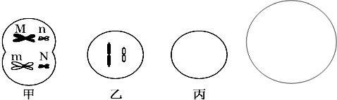 德优题库
