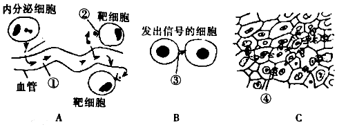 德优题库
