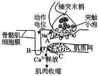 德优题库