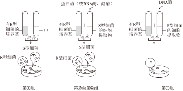 德优题库