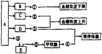 德优题库