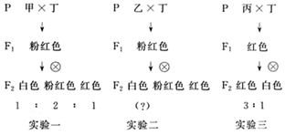 德优题库
