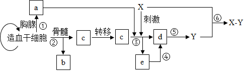 德优题库
