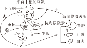 德优题库