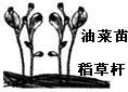 德优题库