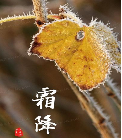德优题库