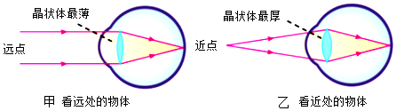 德优题库