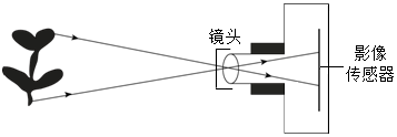 德优题库