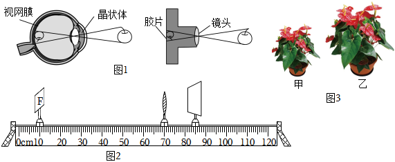 德优题库