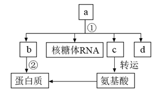 德优题库