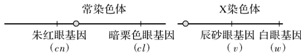 德优题库